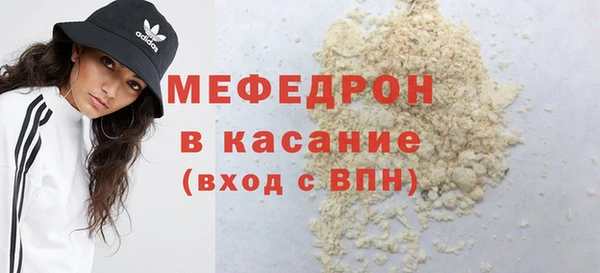 индика Богородицк