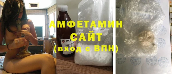 индика Богородицк