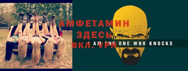 индика Богородицк