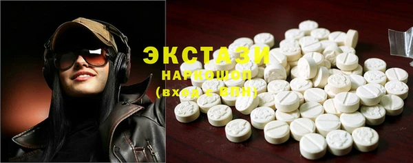 индика Богородицк