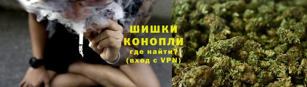 индика Богородицк