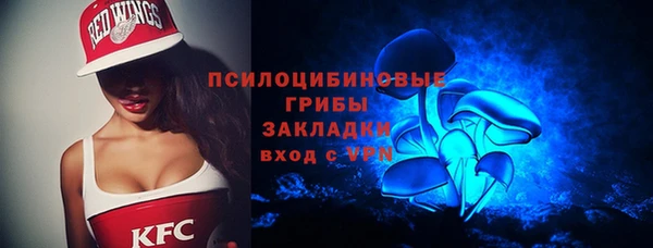 Альфа ПВП Богородск