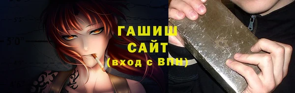 индика Богородицк