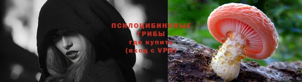 марки nbome Богданович