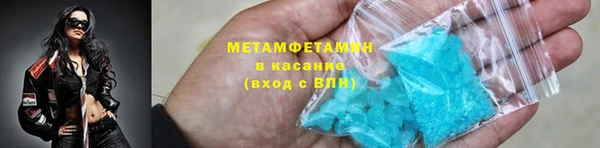 индика Богородицк