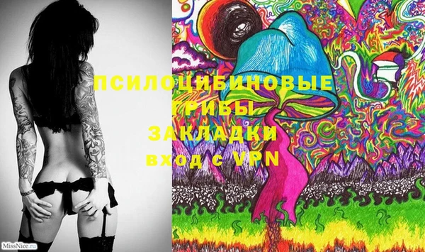 индика Богородицк