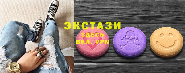 индика Богородицк