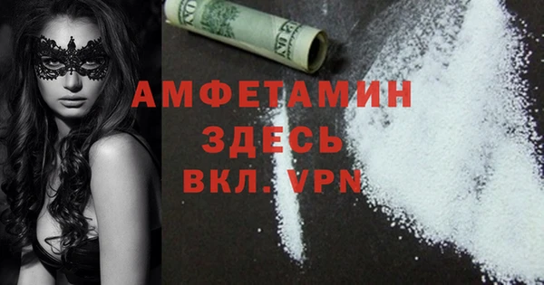 индика Богородицк