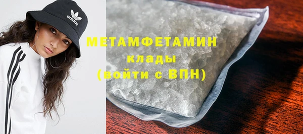 индика Богородицк