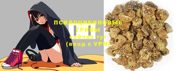 индика Богородицк