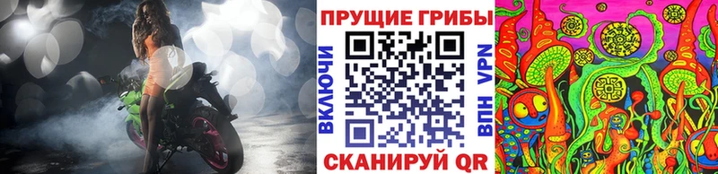 где купить наркотик  Дагестанские Огни  Галлюциногенные грибы Psilocybe 